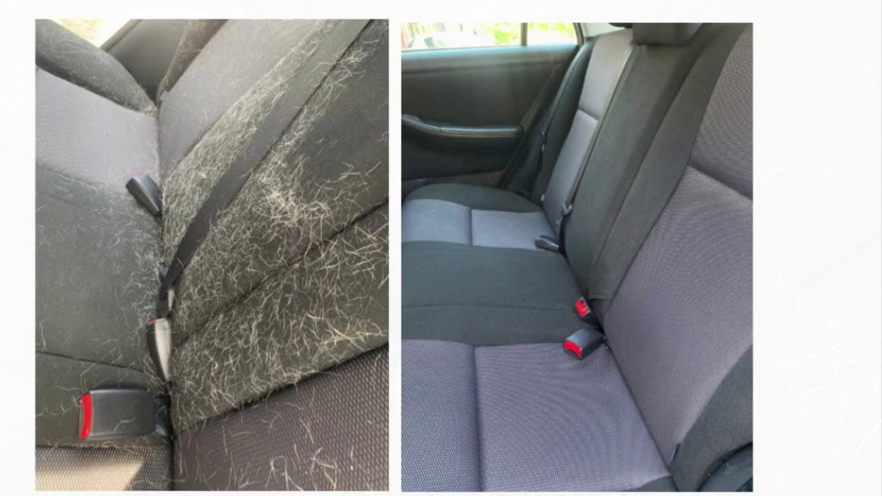 Dierenhaar Verwijderen